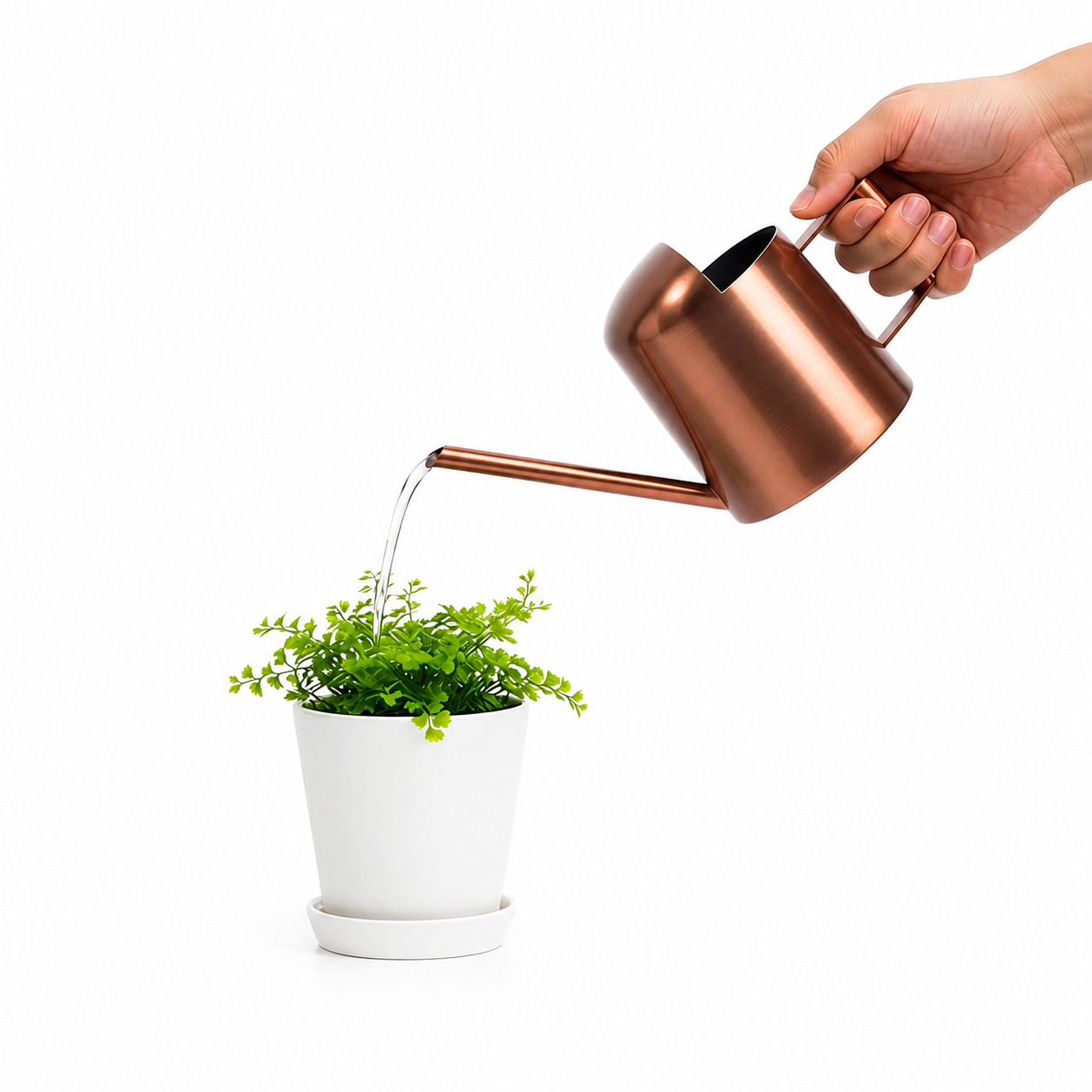 Acero inoxidable regadera metal boca larga negro mini niños regadera de jardinería regadera 300ml image 3