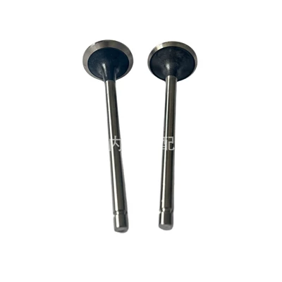 4981795, Valves and components