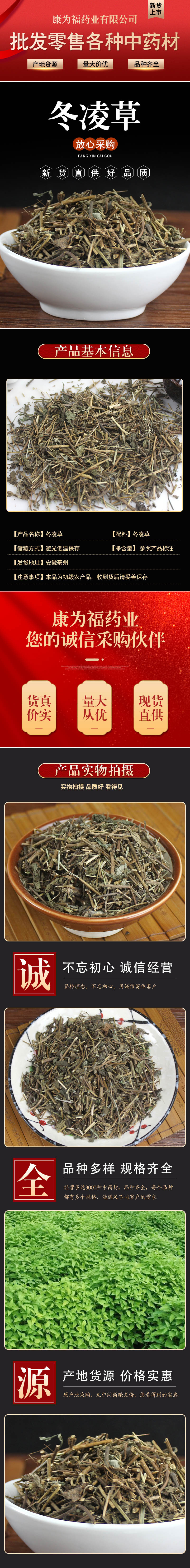 Dong Ling Cao (Rabdosia rubescens) — Dried Chinese Herbal Decoction Pieces, 500g overview