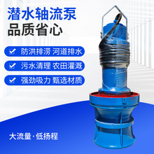 厂家定制600QZB70-132KW潜水轴流泵悬吊式铸铁轴流泵立式轴流泵