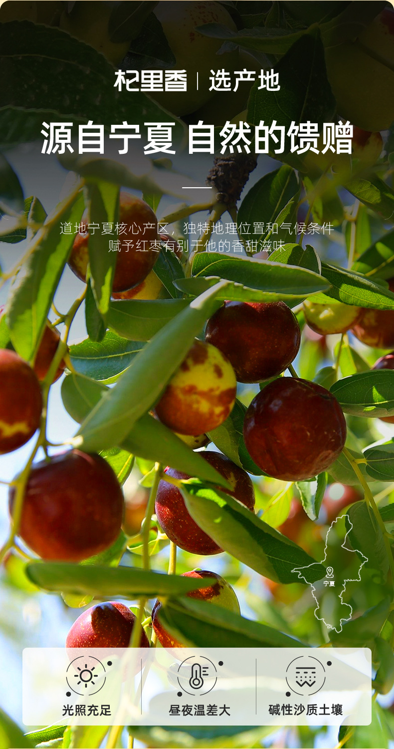 Ningxia Red Dates Dried Jujube Snack 250g Naturally Sun Dried Chinese Date Fruit key features
