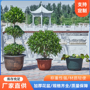 �S��ֱ���Ӻ���~�������ϴ�̖���ش�̖�辰�ԷN�����������ڏ�