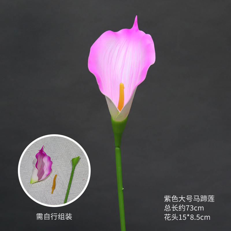 큰 보라색 칼라 백합 가지