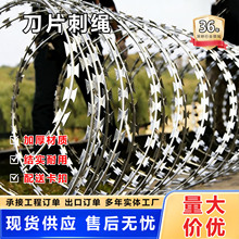 刀片刺绳隔离围墙铁蒺藜带刺滚笼围墙防爬围栏铁刺网刺丝滚笼