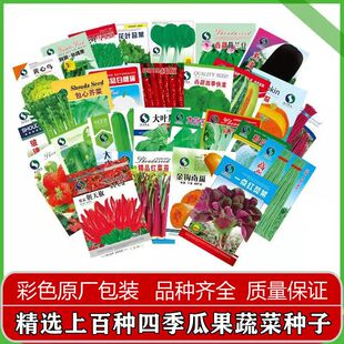 �ļ��߲˷N�ӏS��ֱ�N�˷N�Ӵ������l�ؔ��Ϻ���С�[���������