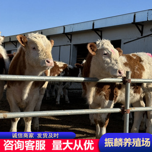 �������T����ţ ��Nţ �İٶ�����T����ţСĸţ Сţ���w����