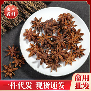 �S�ҹ������l��t�˽����� �V���خa�oѬ�������{ζ�ϻ����