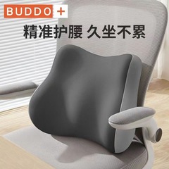 腰はオフィスで腰を保護します。