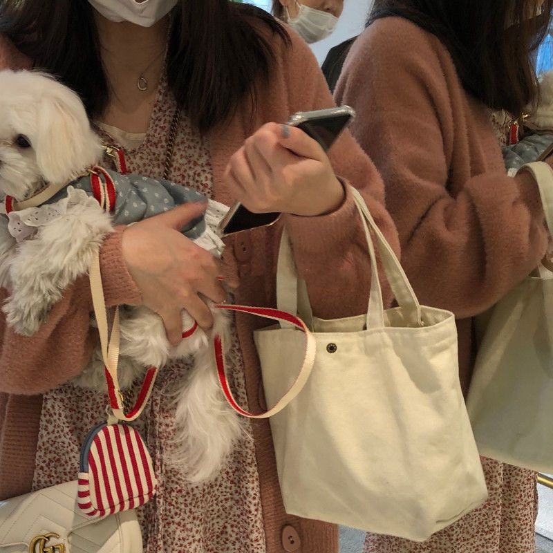 ボタン付きオフホワイトの小さなバッグ