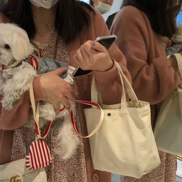 Japanese and Korean Ins New Morandi Canvas Bag Girly Heart Convenient Mini Pure Color Small Handbag Casual and Cute Women