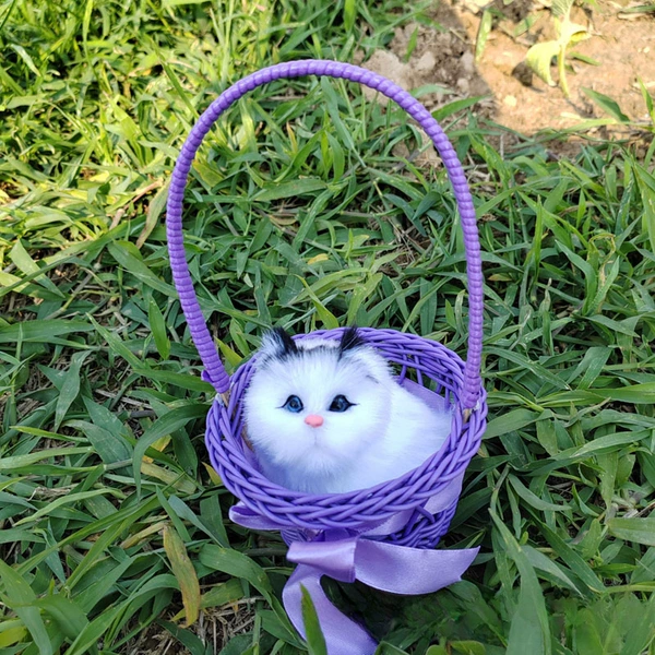 Will be called purple big basket black head cat