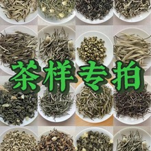 茶样体验装 广西横县茉莉花茶原产地厂家直批 2024年新茶茶样试喝