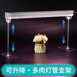 T8T20植物灯管立式支架多肉生长补光灯可升降亚克力灯架绿植