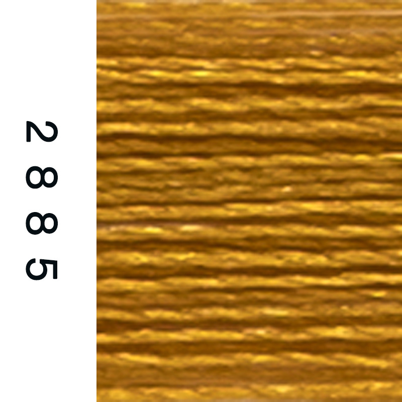 120D/2-2885