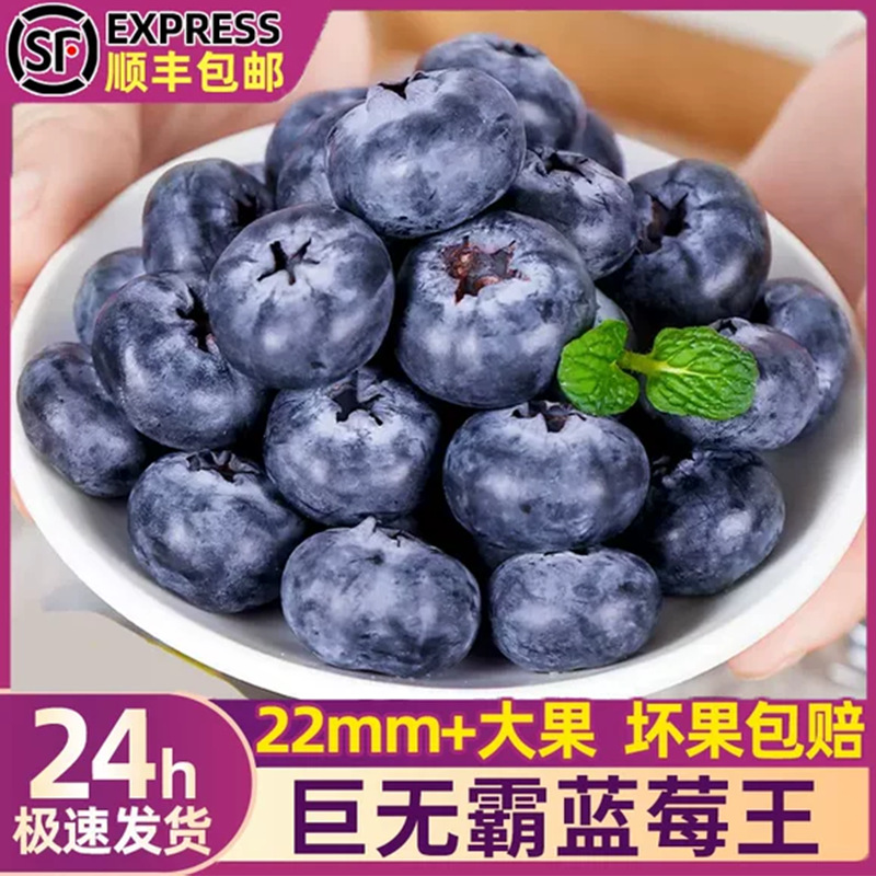 Shunfeng cold chain blueberries fresh Dandong large blueberries not Yunnan Yikemei baby supplementary blueberries fresh fruit