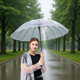 出口16透明雨伞太阳伞批发自动长柄伞双人加大加厚可印logo遮阳