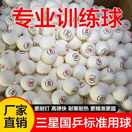 乒乓球;乒乓球台
