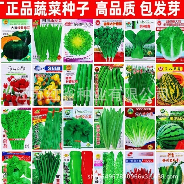 Vegetable Seeds Four Seasons Oil Water Watermelon Cucumber Fragrance…