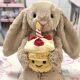 25 New in stock Cake Bonnie Rabbit Toy Cake Rabbit Plush Doll Love Rabbit Cute Fun Doll Plush