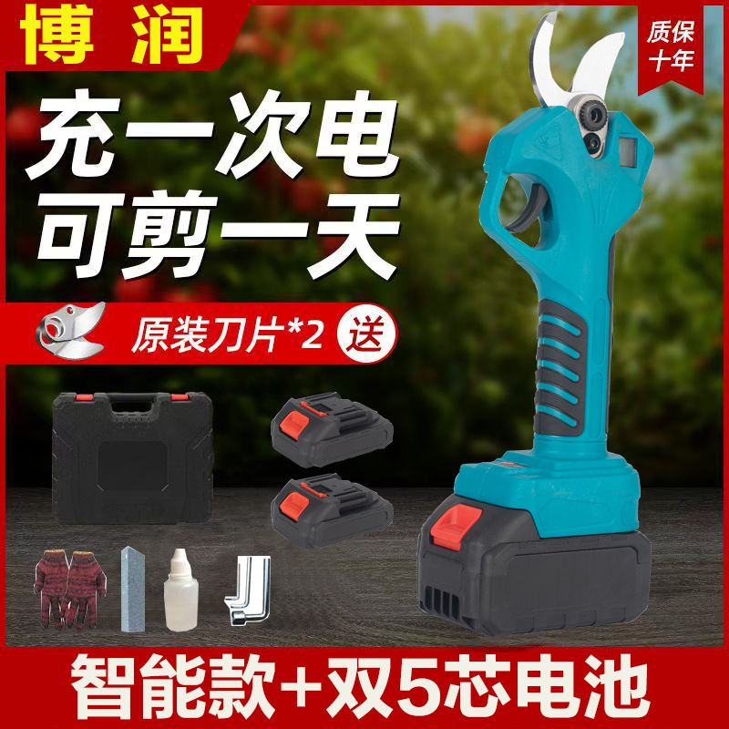 プロの国境を越えた電動剪定鋏、リチウム電池剪定鋏、庭の果樹の果実の枝はさみ、園芸の枝剪定電動工具|undefined