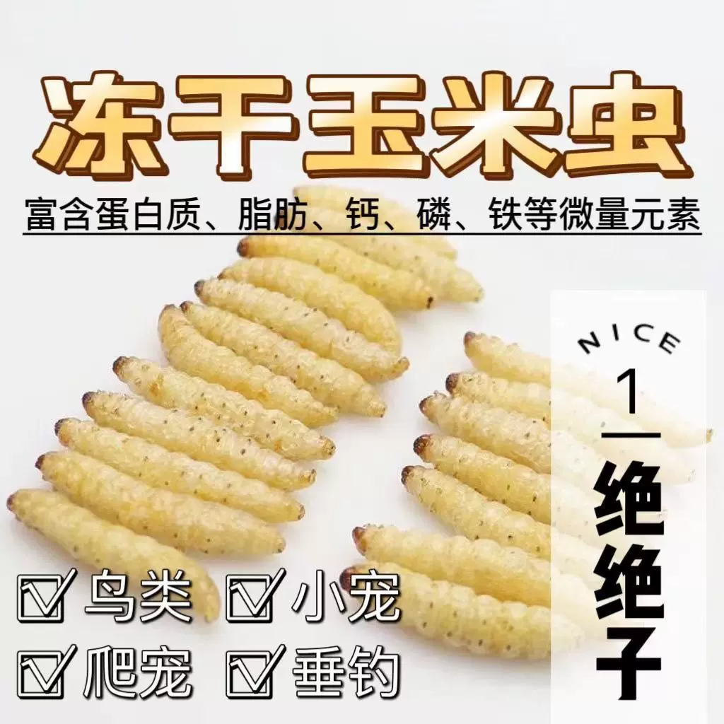 冻干玉米虫干葡萄密虫蜂蜜虫干高蛋白虫子蜜袋鼯守宫爬行宠物饲料