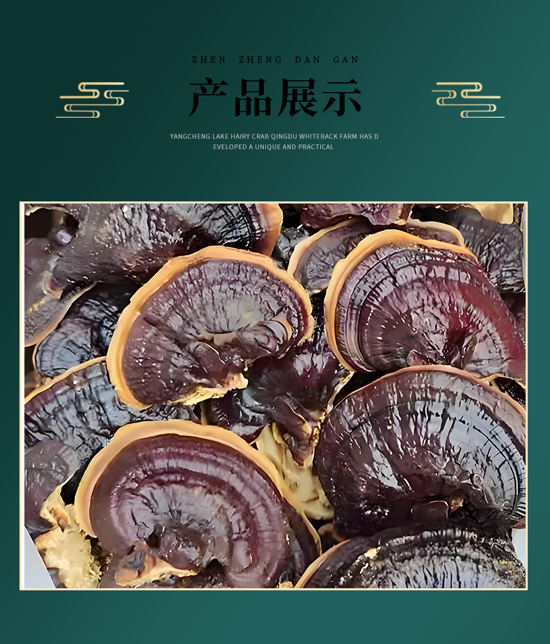 Dried Golden Edge Reishi Mushroom Ling Zhi for Soup 500g Shandong Bulk key features