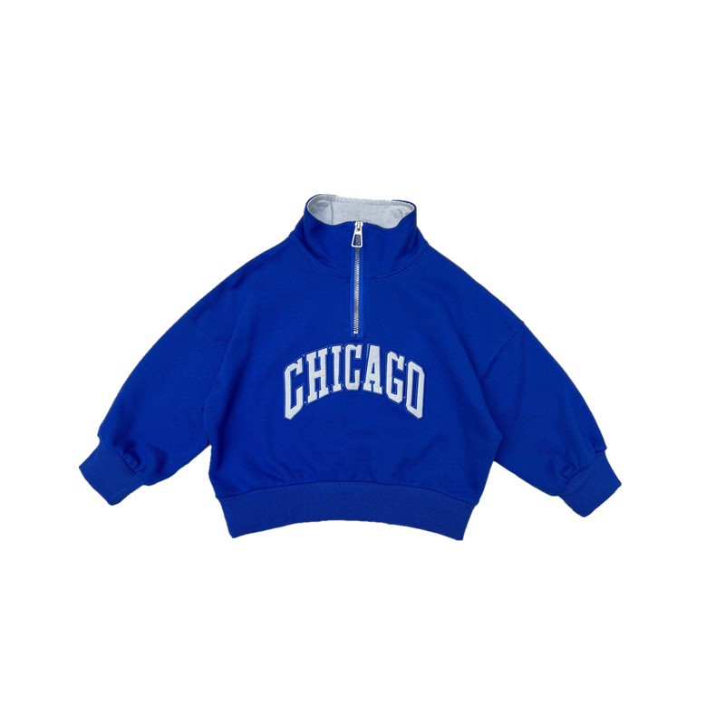 Felpa con cappuccio blu Klein a maniche lunghe con colletto rialzato e alfabeto ricamato per ragazzi coreani autunnali 2024_voghion.com