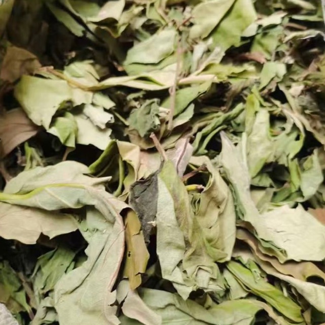 Dried Persimmon Leaves Shi Ye 500g Natural Whole Leaf Herbal Tea Material quality and texture