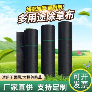 Factory Direct Sales of Durable, Thickened, Water-Permeable, Breathable Weed Control Fabric for Foreign Trade, Greenhouses, Gardening, Fruit Trees, and Orchards