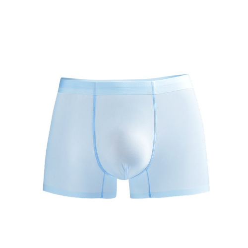 Underwear Men's Ice Silk Mulberry Silk Underwear Seamless Summer Breathable Antibacterial Boxer Briefs Sexy Transparent