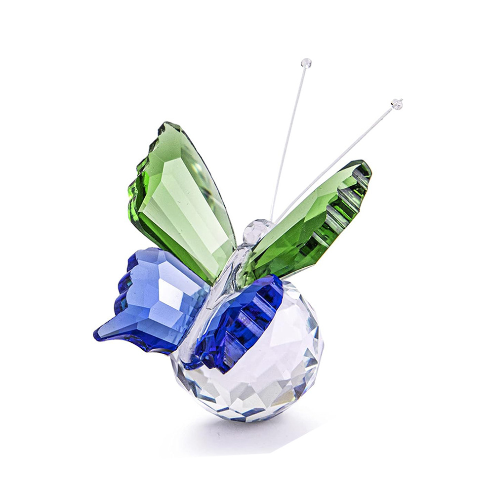 그린 블루 나비