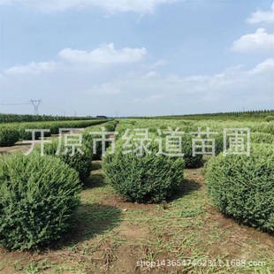���൤�|�u����1-1.5�����ؙu�����͘�G�h�ɰؘ���