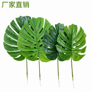 ���������~�٘��~��Ƭ������~ɢβ�~�鼆�zӰ��c�bGɫ���~��