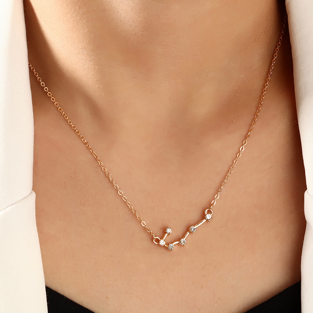 12 Twelve Constellation Diamond Necklace Brown Card Rhinestone Clavicle Chain