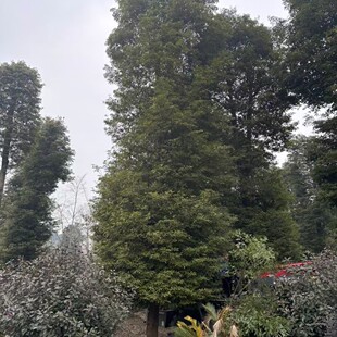 �Ĵ��F���ؑc��z�ľ5���ֽ�z�ľ6���ֽ�z�ľ8���ֽ�z�ľ1