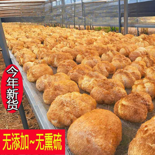 ������؛Ұ�����^����؛500g���ږ|���L��ɽ���rĢ���Ҝ����˼���