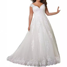 羳һּ鼆ɭϵ2025¿ﺆsVI͸ҕβܛ