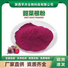红甜菜根粉 甜菜根汁粉 水溶 红甜菜根提取物烘焙原料1kg厂家包邮