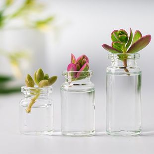 Only Transparent Glass Bottles for Growing Flowers, Mini Empty Bottles, Hydroponic Wishing Bottles, Drift Bottles, Small Bottles, Cork Glass Bottles
