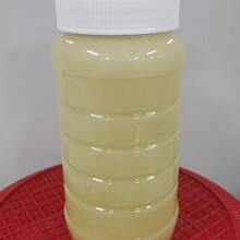 ���� ��Ȼ��ɽ�ٻ�������2���b1000���r���Ԯa�Y��Ұɽ���ٻ�����