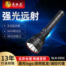 ¿ɭֻSLH-555C LEDType-c늶๦Ͳ