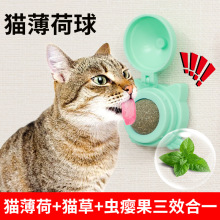 ���l�¿�؈������؈����ʳ�������D�����ճ�N�␞���ˌ�����Ʒ