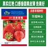 Cream strawberry, cute fruit eating bib, wholesale