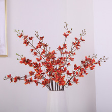 3DӡzƬ3Ժm 滨͏d廨m҃[Ż