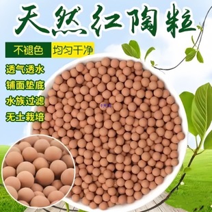 ��ˮ�������⻨�É|�����ʯˮ��ֲ�ﶹѿ������͸���~����̿��