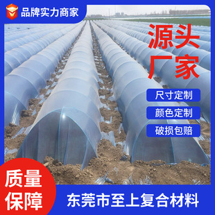 �S�����l���w����5mm�����w�S�������Ѽ���