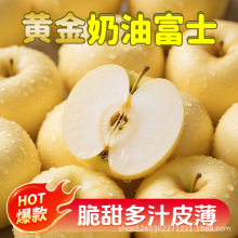 脆甜可口】山东烟台奶油富士苹果水果平果奶油脆甜萍果新鲜采摘