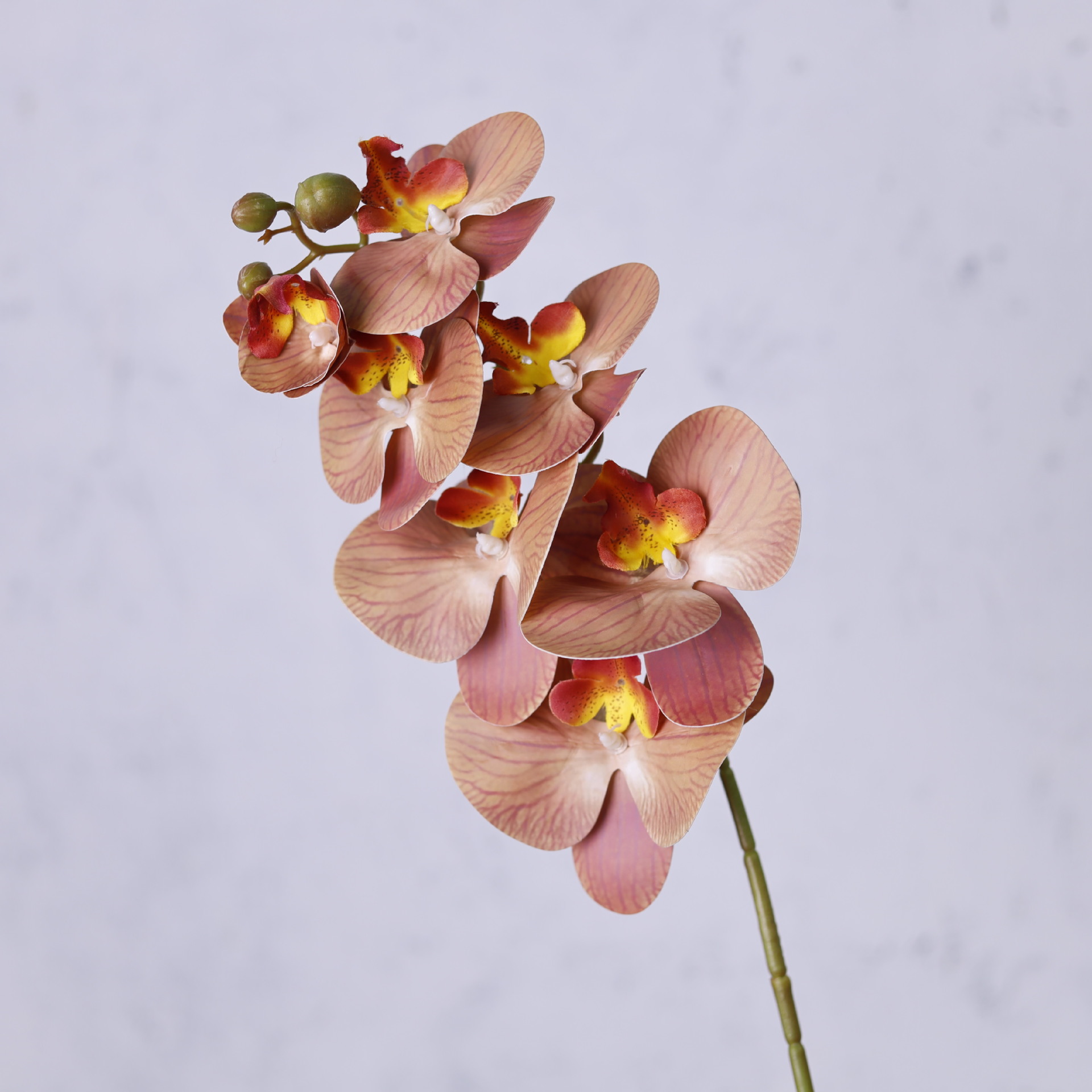 Impresión 3D de 7 cabezas de orquídeas mariposa flor de decoración de flores de alto nivel flor de nicho decoración floral decoración de sala de estar