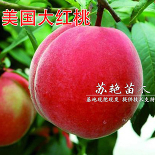 ������t�Ҙ��� �ش���t�� �޽����箔��Y���Ϸ������Nֲ������