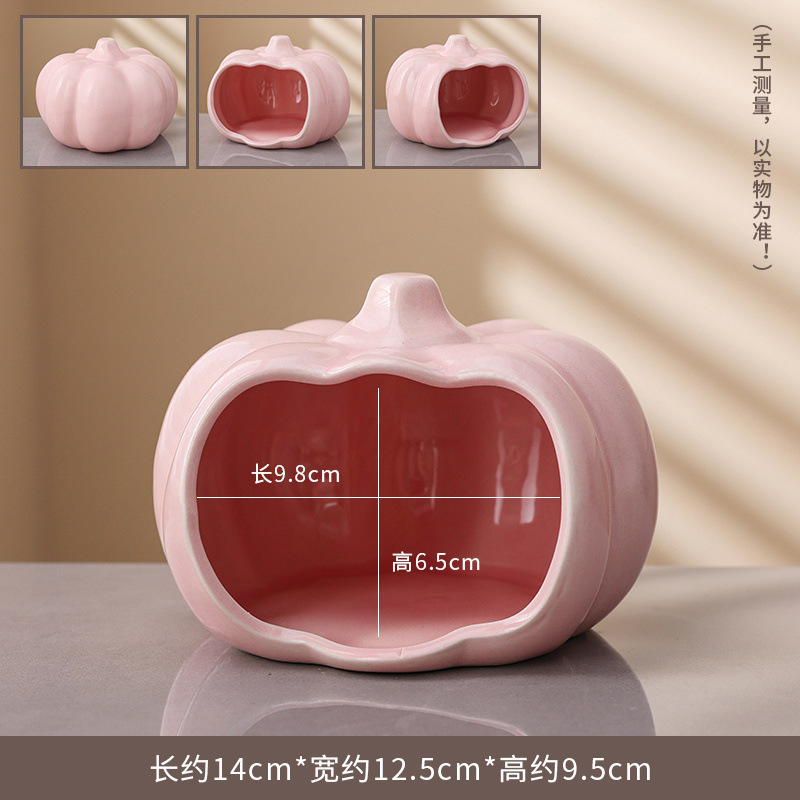 톨 펌킨 핑크(황금곰 전용)